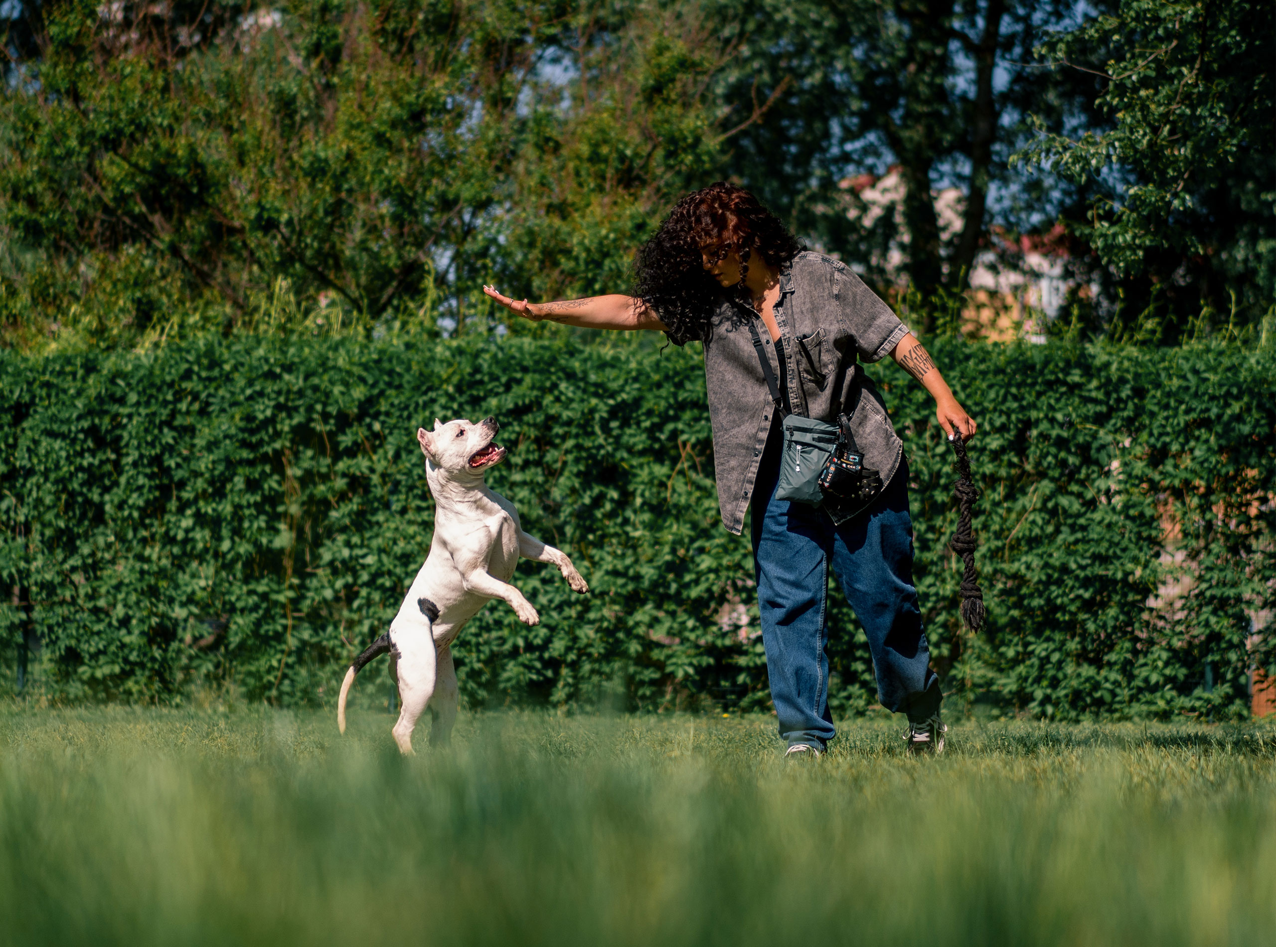 Featured image for “Recommended Trainers, Groomers, and Kennels in Pittsburgh”